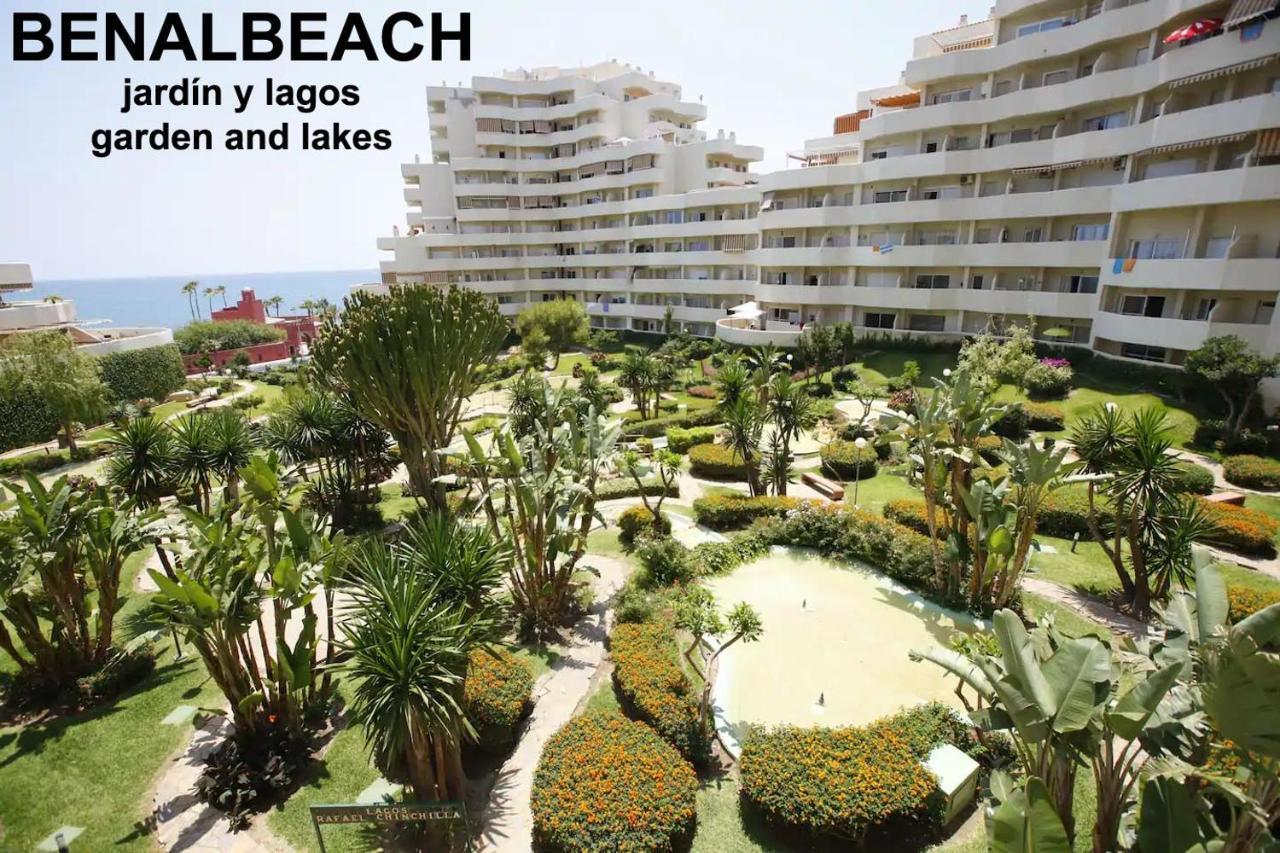 Estudio Benalbeach Primera Linea De Playa ベナルマデナ エクステリア 写真