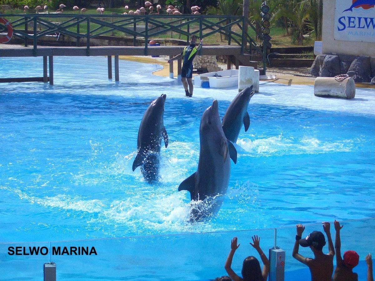 Estudio Benalbeach Primera Linea De Playa ベナルマデナ エクステリア 写真